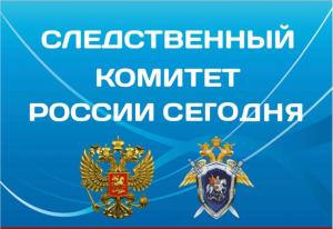 Жителей и гостей г.о. Воскресенск приглашают на фотовыставку «Следственный комитет России сегодня» 