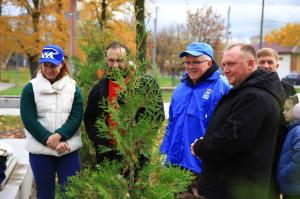 В Воскресенске в преддверии Дня отца высадили деревья