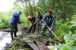 В Воскресенске прошел марафон народных инициатив «Дни зеленых действий»
