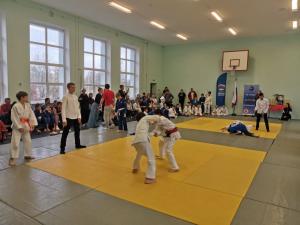 В Воскресенске завершился турнир по самбо памяти Анатолия Парфенова